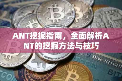 ANT挖掘指南，全面解析ANT的挖掘方法与技巧
