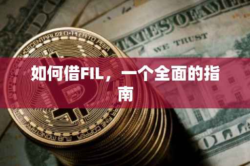 如何借FIL，一个全面的指南