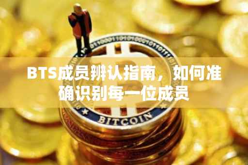 BTS成员辨认指南，如何准确识别每一位成员