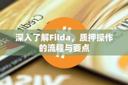 深入了解Filda，质押操作的流程与要点