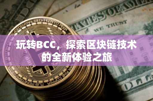 玩转BCC，探索区块链技术的全新体验之旅