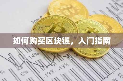 如何购买区块链，入门指南