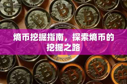 熵币挖掘指南，探索熵币的挖掘之路