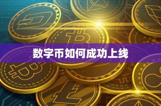 数字币如何成功上线