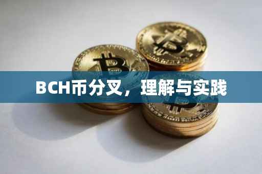 BCH币分叉，理解与实践