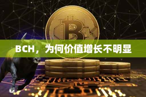 BCH，为何价值增长不明显