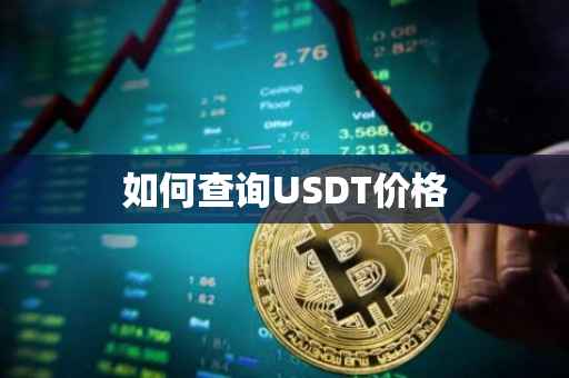如何查询USDT价格