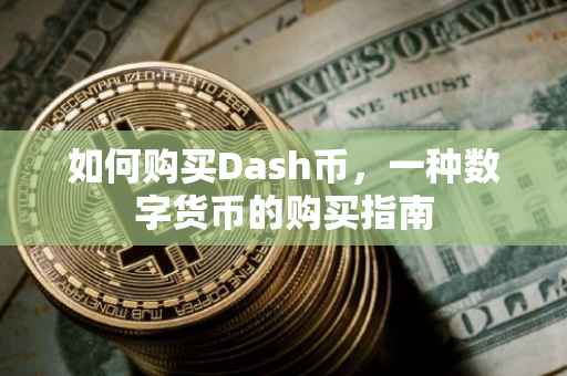 如何购买Dash币，一种数字货币的购买指南