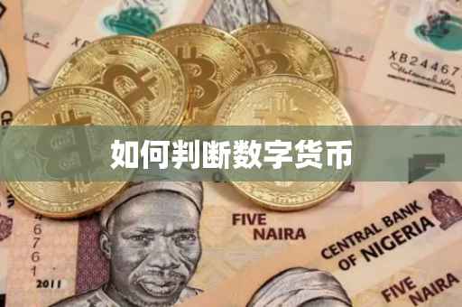 如何判断数字货币