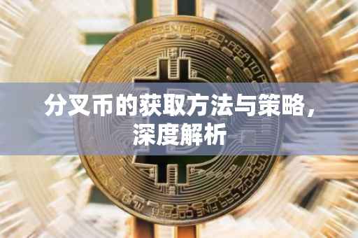 分叉币的获取方法与策略，深度解析