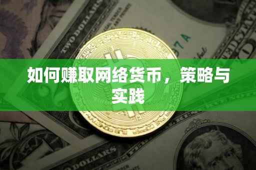 如何赚取网络货币，策略与实践