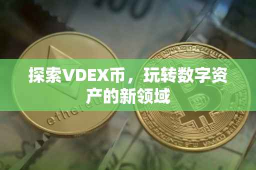 探索VDEX币，玩转数字资产的新领域