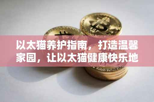 以太猫养护指南，打造温馨家园，让以太猫健康快乐地成长
