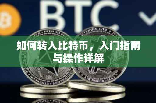 如何转入比特币，入门指南与操作详解