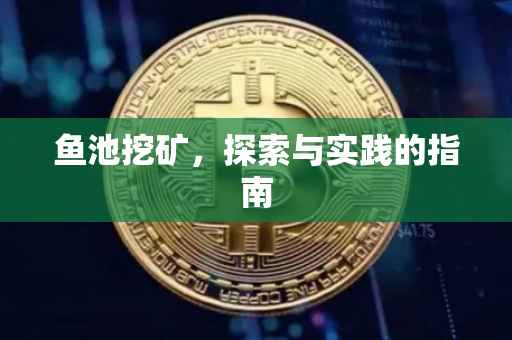 鱼池挖矿，探索与实践的指南