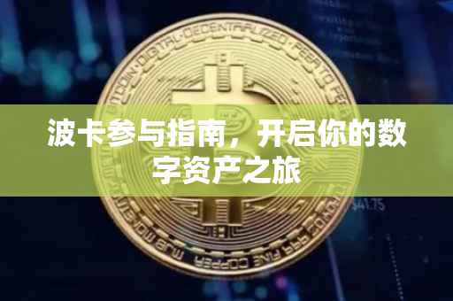 波卡参与指南，开启你的数字资产之旅