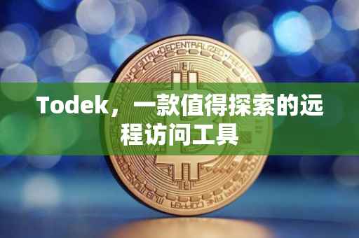 Todek，一款值得探索的远程访问工具