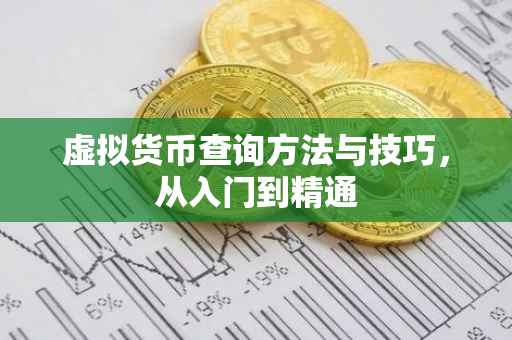 虚拟货币查询方法与技巧，从入门到精通
