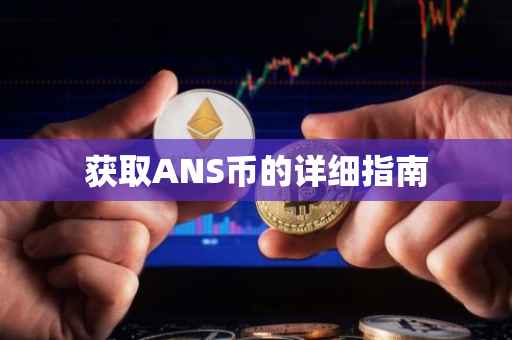 获取ANS币的详细指南