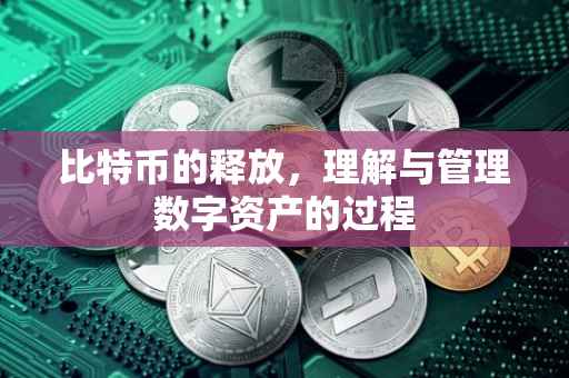 比特币的释放，理解与管理数字资产的过程