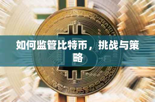 如何监管比特币，挑战与策略