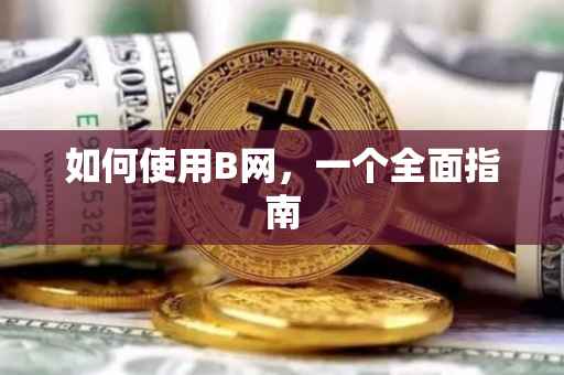 如何使用B网，一个全面指南