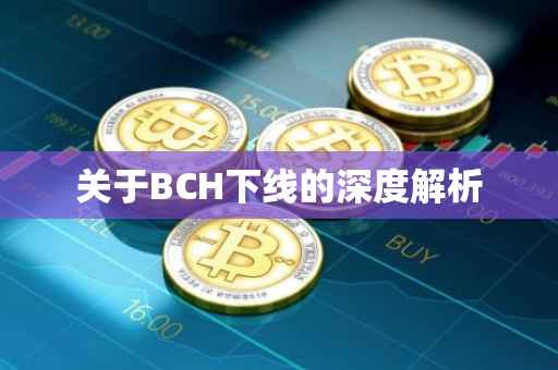 关于BCH下线的深度解析