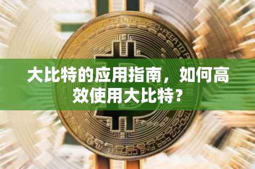 大比特的应用指南，如何高效使用大比特？