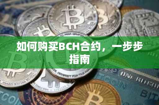 如何购买BCH合约，一步步指南