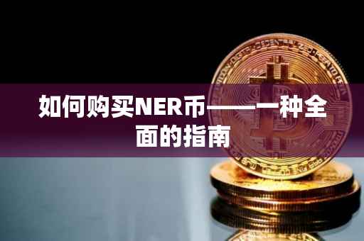 如何购买NER币——一种全面的指南