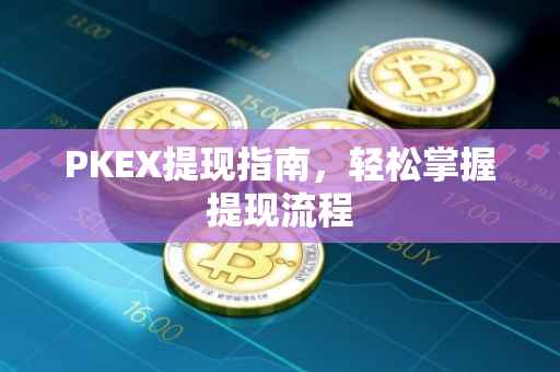 PKEX提现指南，轻松掌握提现流程