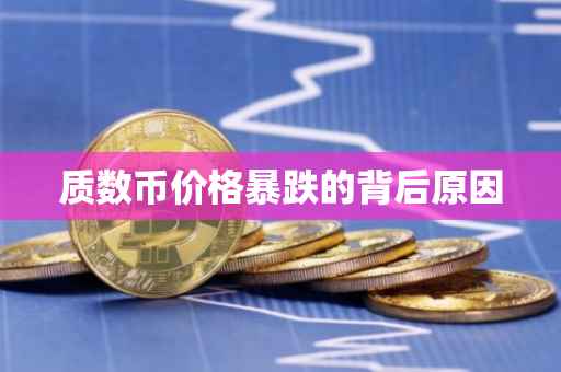 质数币价格暴跌的背后原因
