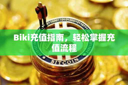 Biki充值指南，轻松掌握充值流程