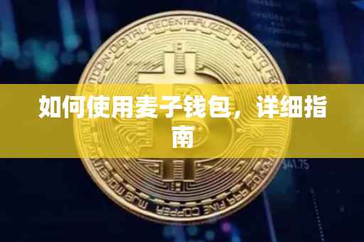 如何使用麦子钱包，详细指南