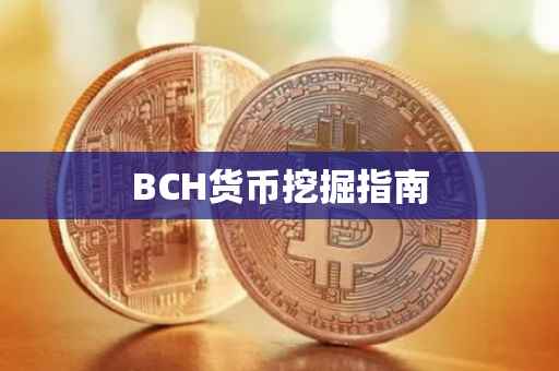 BCH货币挖掘指南