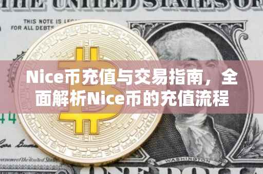 Nice币充值与交易指南，全面解析Nice币的充值流程