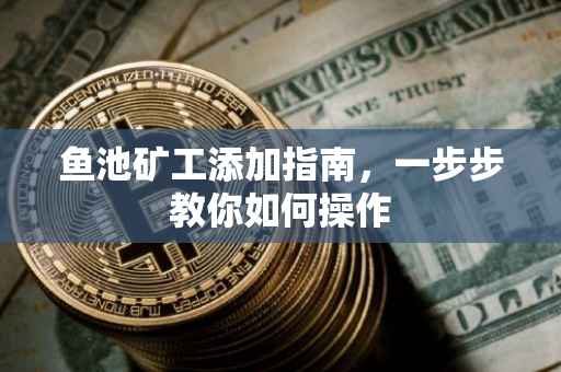 鱼池矿工添加指南，一步步教你如何操作