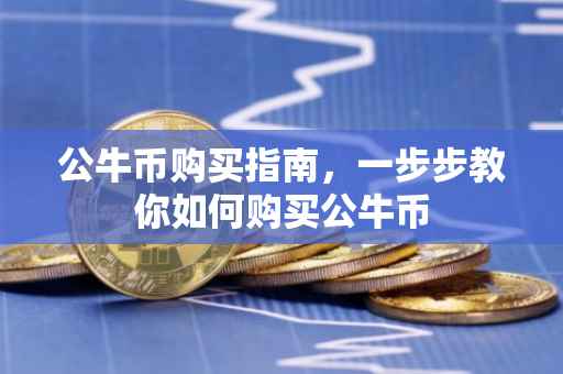 公牛币购买指南，一步步教你如何购买公牛币