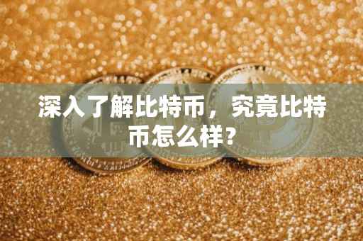 深入了解比特币，究竟比特币怎么样？