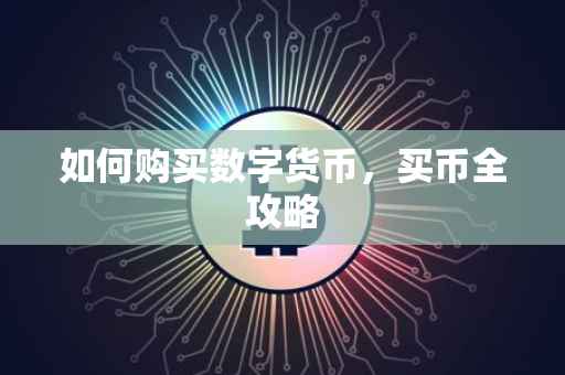 如何购买数字货币，买币全攻略
