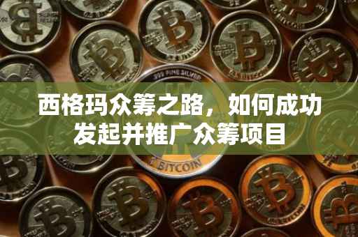 西格玛众筹之路，如何成功发起并推广众筹项目