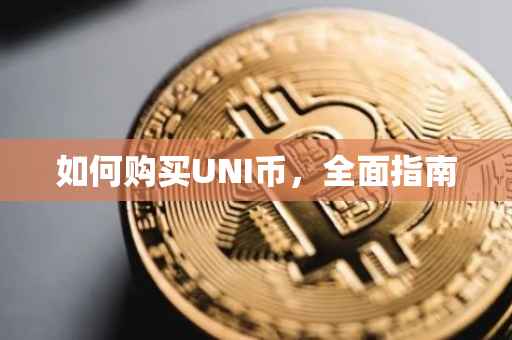 如何购买UNI币，全面指南