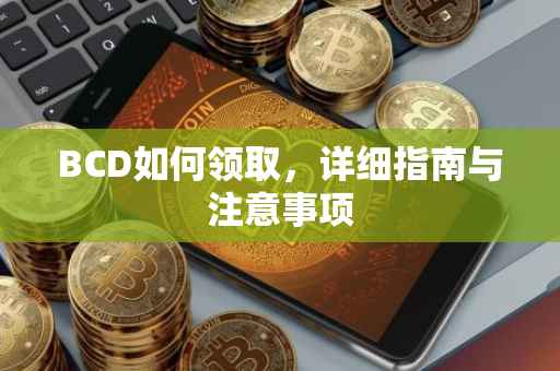 BCD如何领取，详细指南与注意事项
