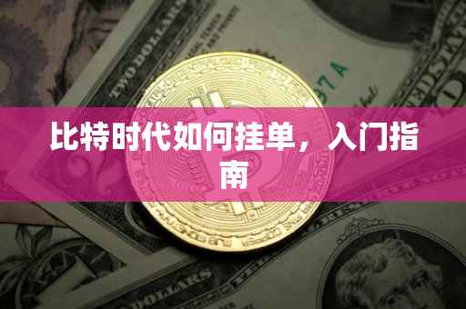 比特时代如何挂单，入门指南