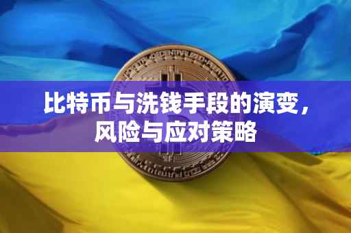 比特币与洗钱手段的演变，风险与应对策略