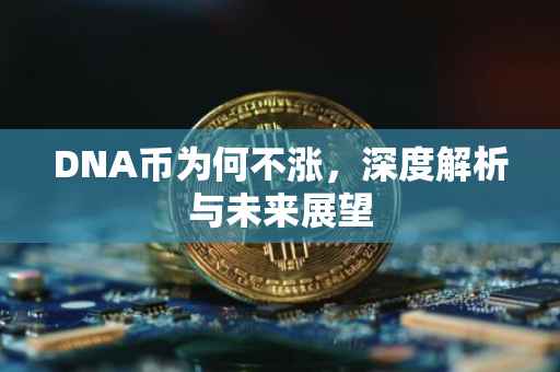 DNA币为何不涨，深度解析与未来展望