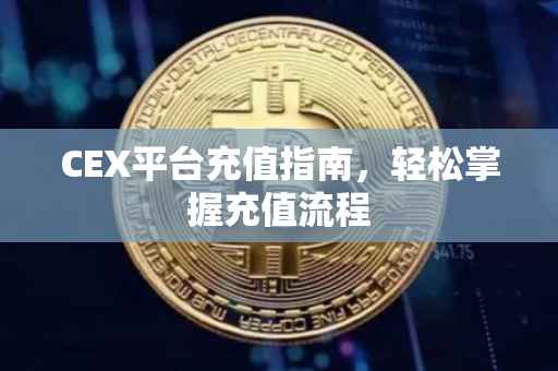 CEX平台充值指南，轻松掌握充值流程