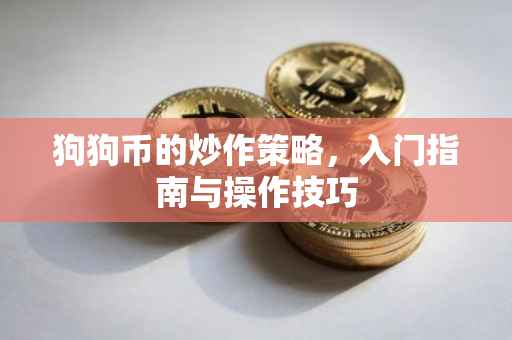 狗狗币的炒作策略，入门指南与操作技巧