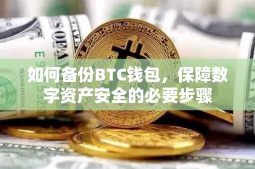 如何备份BTC钱包，保障数字资产安全的必要步骤