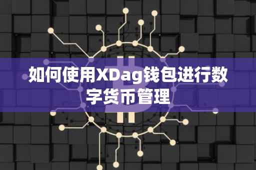 如何使用XDag钱包进行数字货币管理